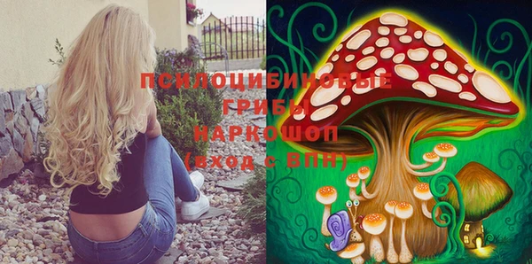 марихуана Абаза