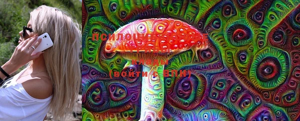 шишки Абинск