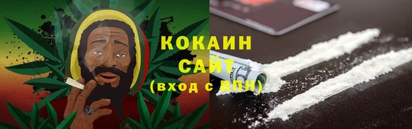 шишки Абинск