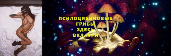 шишки Абинск